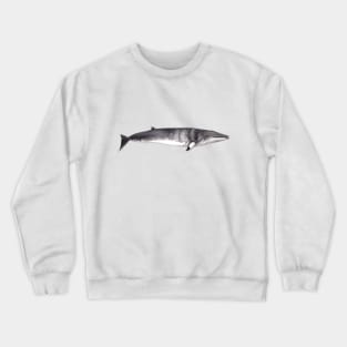 Minke whale Balaenopetra acutorostrata Crewneck Sweatshirt